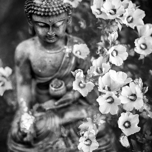 Meet your Posher, Laura - Picture 1 of 1